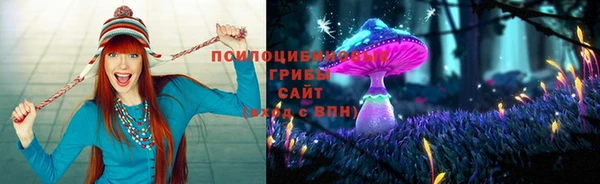 ALPHA-PVP Арсеньев