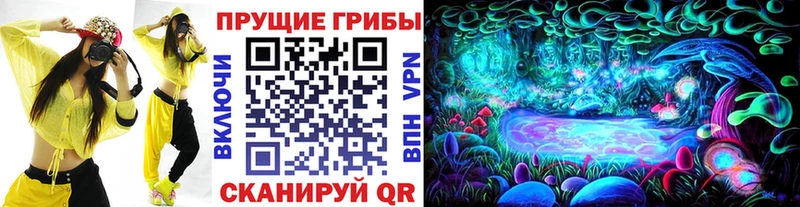 закладки  Семикаракорск  Галлюциногенные грибы мухоморы 